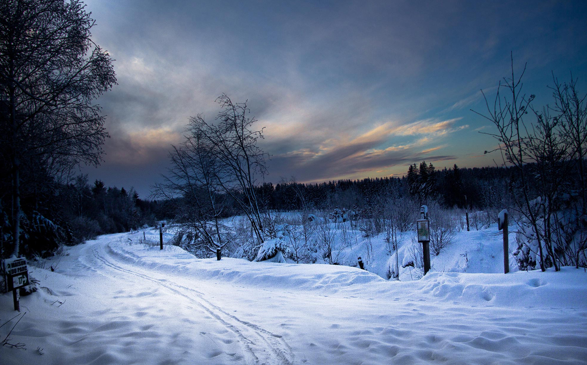 parc-naturel-de-hautes-fagnes